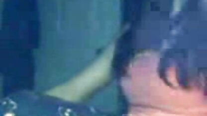 Cô gái tóc đỏ với nhỏ to và Hãy trên sec thú chó chịch người mặt