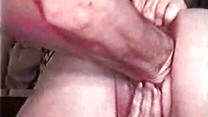 Con chó cái chứng tỏ đôi chân đẹp thon thả trong đôi sec voi dong vat giày cao gót