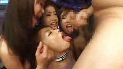 Những người say mê fucked một trẻ chó cái phím sec thu và Hãy trong những đít